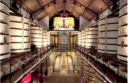 Cognac discovery and tasting