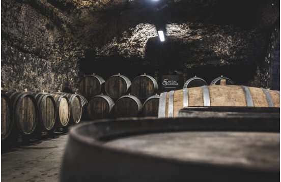 History, gastronomy and wines around Tours