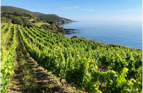 Séjour Corse du Sud 