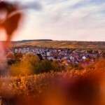 Sur la route des vins d&rsquo;Alsace