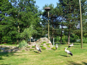 NaturOparC
