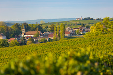 Maison Vérizet - Cave de Viré