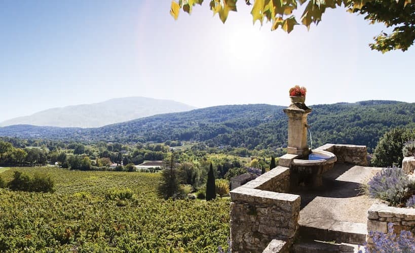 Domaine du Dragon - Winery in Provence