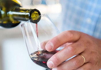 Domaine du Dragon - Wines