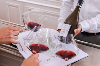 Château de Pommard - Wines