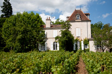 Tastings at the Château - Burgundy