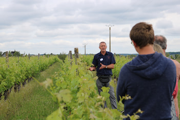 Domaine de la Grezille - Vineyard tour