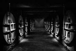 Champagne Jacquesson - Wine estate