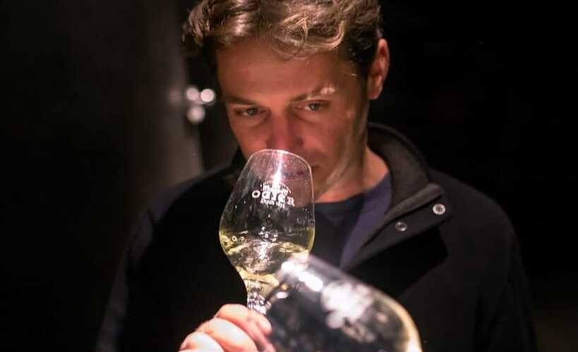 Maison Ogier - Tasting