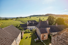 Séjour vignoble Mercurey